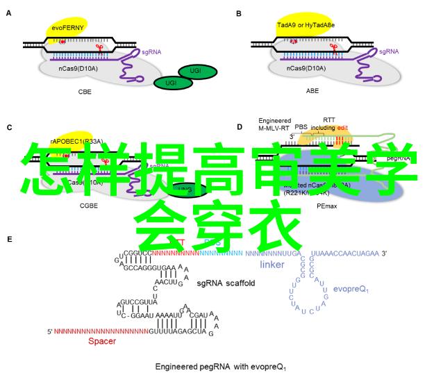 乐町的建筑风格有什么特点