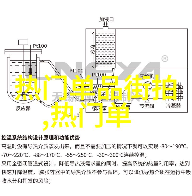 女恐怖分子她那个在阴影中舞动的女孩