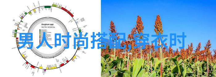 我应该投资于一款性能卓越且价格合理的大约260mm宽度液晶显示器还是一个类似大小的项目仪表板以满足我