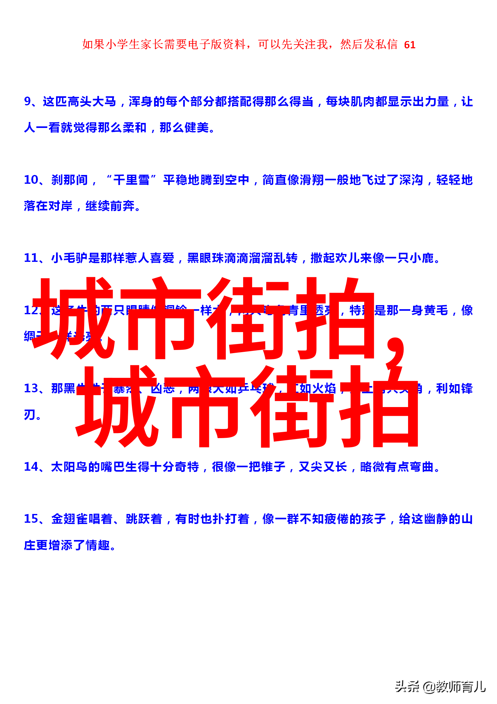 秋意浓时男士穿搭大展风采从休闲到正式的时尚之选