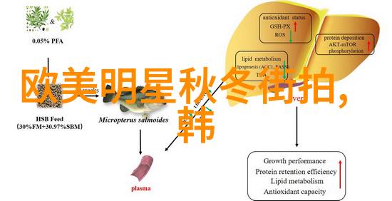 精灵森2魔法世界的奇幻冒险古典动漫经典篇