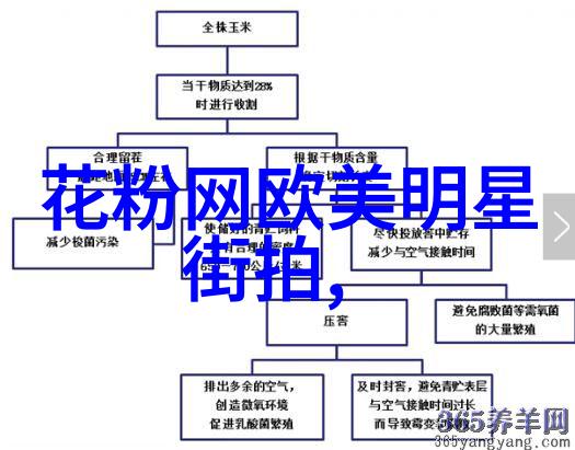 深入揭秘企业数据安全的隐患与防范策略