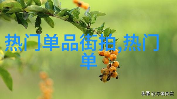 镜中影揭秘适合你的发型之谜