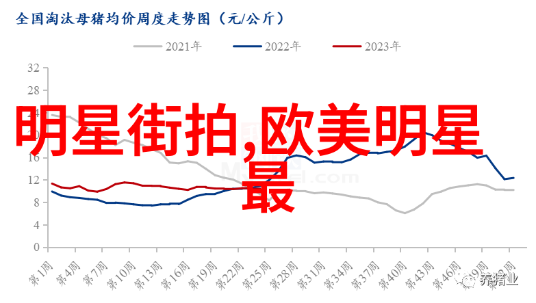 300013新宁物流专业货运服务