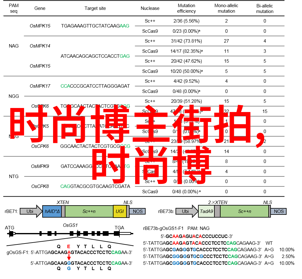 逆袭时尚揭秘今年流行减龄短发的关键词汇与美发趋势