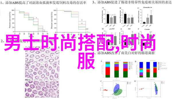 深不可测金银花露笔趣阁我在这片神秘的土地上找到了什么