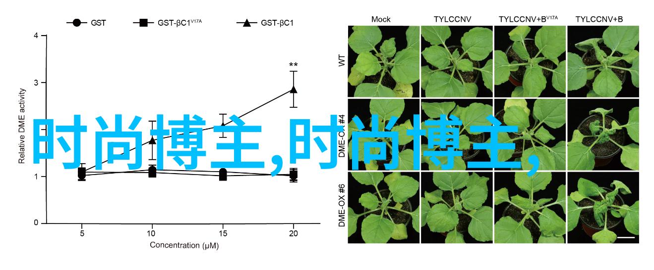 夏日时尚必备实用连衣裙秘诀清凉又显瘦