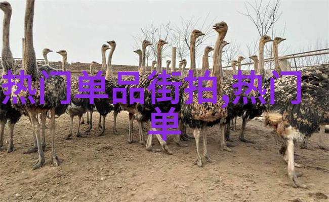 搜寻未来免费发型百度测发型的奇迹之旅