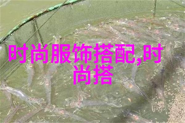 甜蜜果汁体验纯净草莓汁的诱人魅力