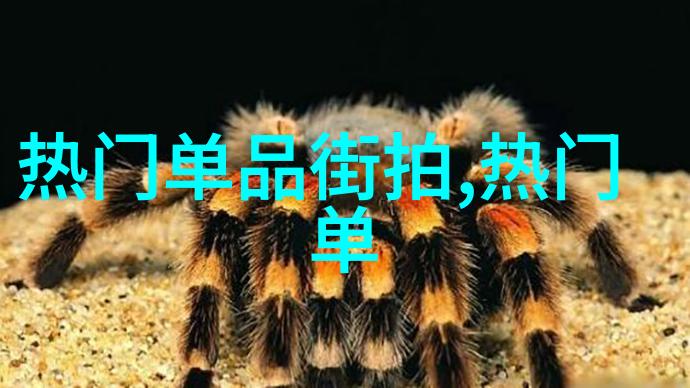 气质穿搭的艺术之美如何从图片中悟出时尚哲学